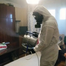 Дезинфекция от клопов в Велиже