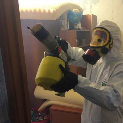 Уничтожение клопов в квартире. Велиж